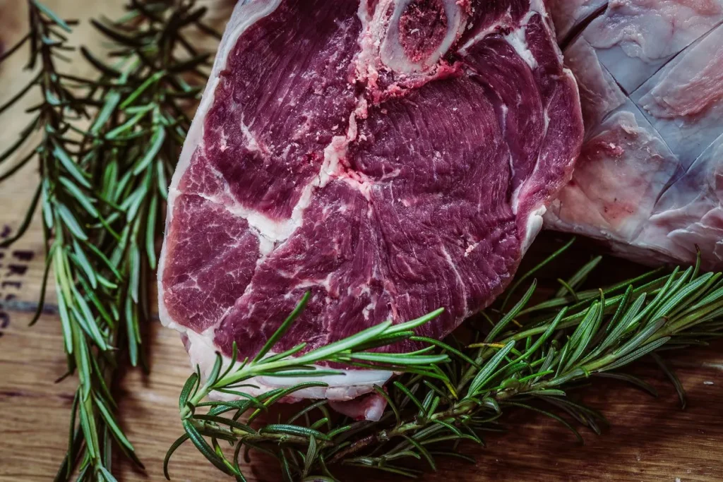 Do Calories Matter on Carnivore Diet