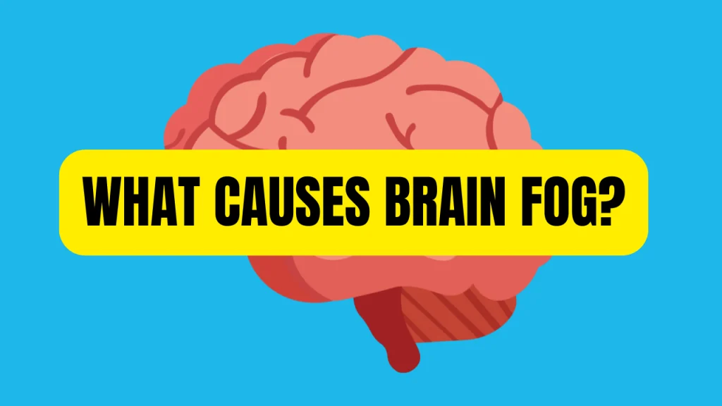 WHAT CAUSES BRAIN FOG?