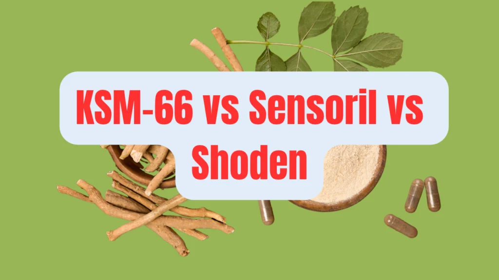 KSM-66 vs Sensoril vs Shoden