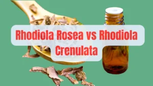 Rhodiola Rosea vs Rhodiola Crenulata