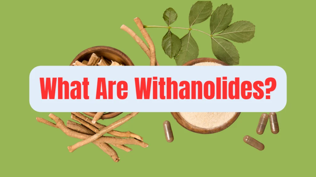 What Are Withanolides